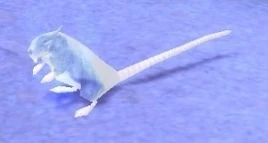 Image of Ghastly Rat