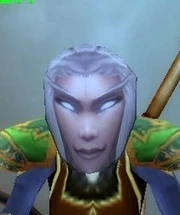 Flimsy Female Night Elf Mask