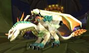 Albino drake