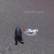 Gwennyth-bly'leggonde