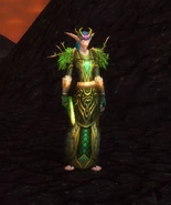 Rayne at Malfurion's Breach in the Molten Front.