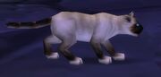 Mrbigglesworth.jpg