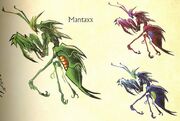 Mantaxx.jpg