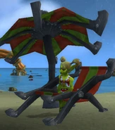 Candy at Shipwreck Shore