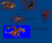 Dragonhawk evolution line