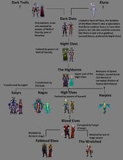 Lineage of elves