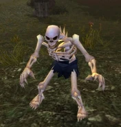 Normal skeleton