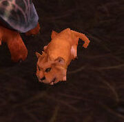 DarkmoonCub
