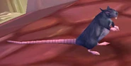 [Giant Sewer Rat]