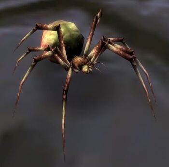 Image of Spider (battle pet)