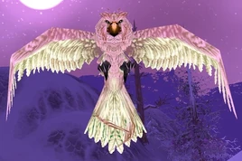 Winterspring Screecher