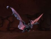 Greater Kraul Bat.jpg