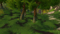 Dookin'Grounds