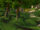 Dookin' Grounds