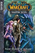 ShadowWing1Cover.jpg (54 KB) Tyri and Jorad on the cover of The Dragons of Outland
