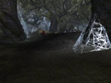 The Darkwood