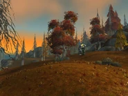 Bitter Reaches.jpg (97 KB) Bitter Reaches