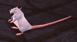 Image of Blight (untameable battle pet)