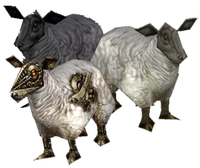 Image of Sheep
