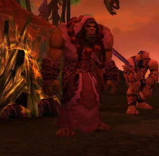 Thrall at the Warchief's Lookout[36.8, 43.3] on the Lost Isles.