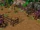 Pig Farm