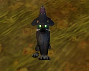 A Feline Familiar pet