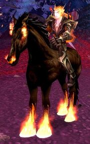Matis mounted