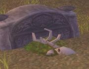Grave Moss.jpg