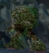 Rotting Forest-Rager | WoWWiki | Fandom