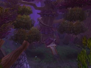 Kalidar03.jpg (80 KB)