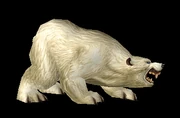 PolarBear
