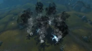 The ground "releases" sha "gasses" for a few seconds before the Sha of Anger spawns