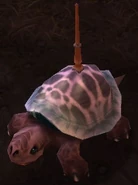 Dubenko1.jpg (18 KB)