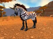 Zhevra Runner