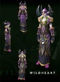 Wildheart Raiment on a female night elf