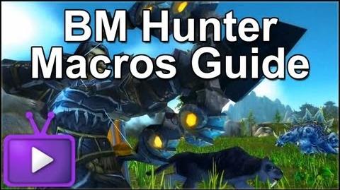 ► Mists of Pandaria - BM Hunter Macros Guide - 1 Shot Macro Included
