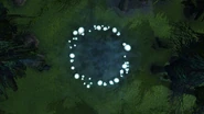 'Faerie Ring' found within the forest.