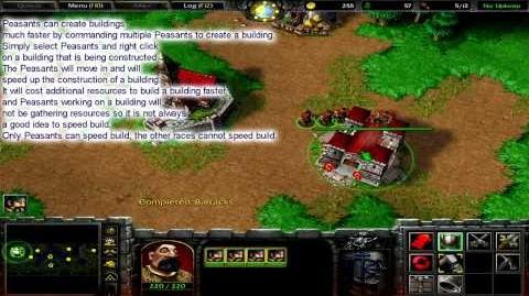 brugerdefinerede Governable aftale Peasant (Warcraft III) | WoWWiki | Fandom