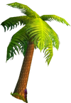 Stranglethorn vale-palm tree