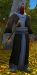 Defias Rogue Wizard