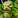 IconSmall ForestTroll Male.gif