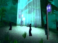 Lunar Festival 8.jpg (401 KB)