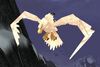 Stormcrest Eagle