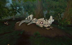 Bones of Nozronn