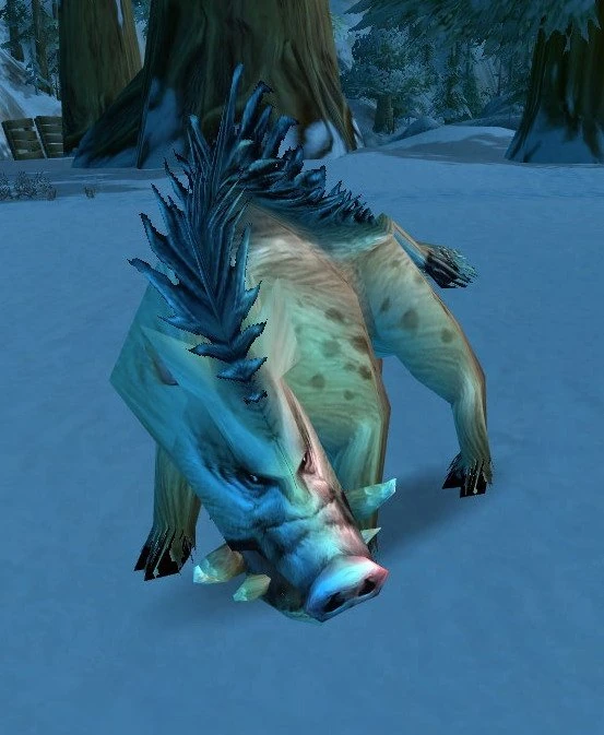 Вепри драконы. Вепрь wow. Вепри драконы. Барс и вепрь дракон. Вов нпс вепрь.