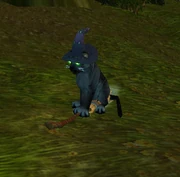 The Feline Familiar mounted on a broom.