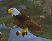 Imperial Eagle.jpg