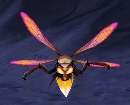 Image of Swamplighter Firefly