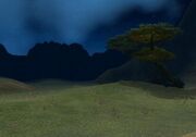 Barrens at Night