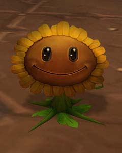 Brazie sunflower
